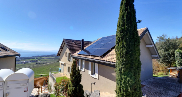 Magnifique maison en viager occupé sans rente avec splendide vue Lac image 3
