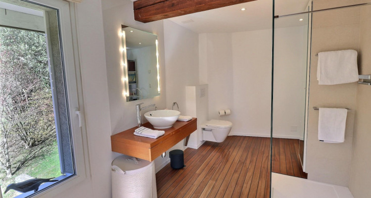 Magnifique maison en viager occupé sans rente avec splendide vue Lac image 11