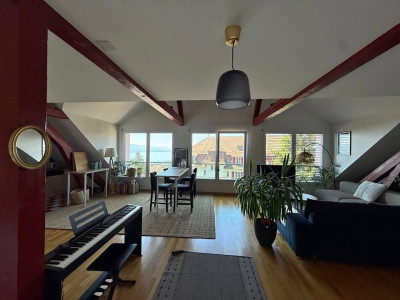 Magnifique loft 90m2 lumineux sous combles avec vue lac à Lausanne image 2