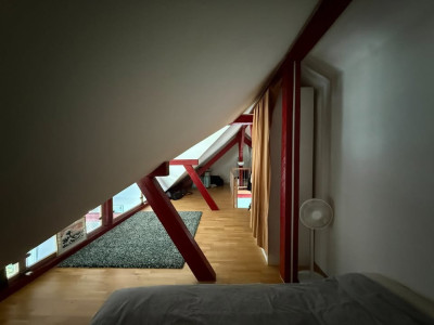 Magnifique loft 90m2 lumineux sous combles avec vue lac à Lausanne image 11