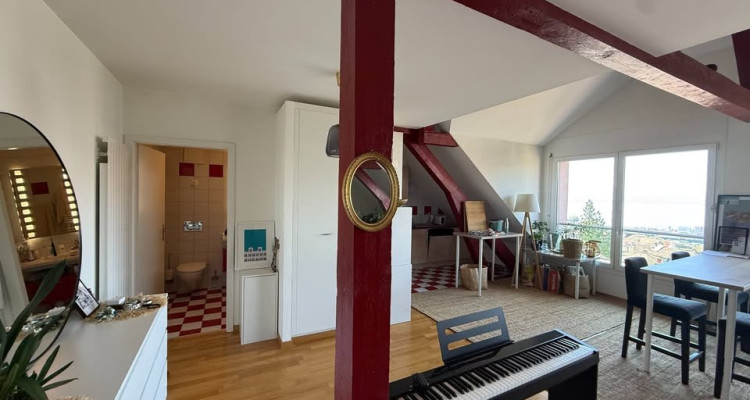Magnifique loft 90m2 lumineux sous combles avec vue lac à Lausanne image 6