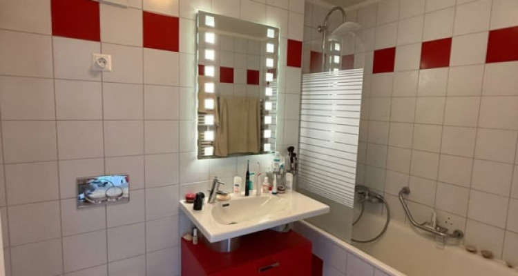 Magnifique loft 90m2 lumineux sous combles avec vue lac à Lausanne image 8