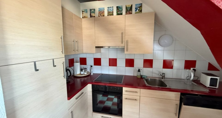 Magnifique loft 90m2 lumineux sous combles avec vue lac à Lausanne image 9