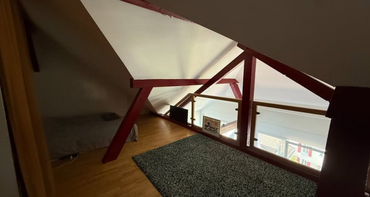 Magnifique loft 90m2 lumineux sous combles avec vue lac à Lausanne image 10