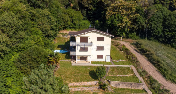 Sichere Investition mit Wertsteigerung image 8