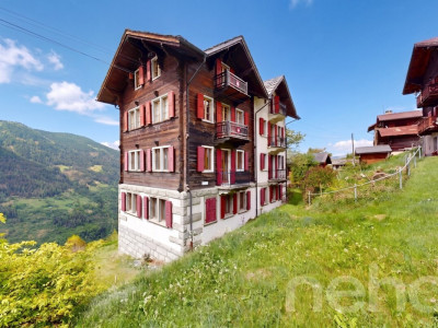 Superbe duplex traversant avec potentiel locatif image 1