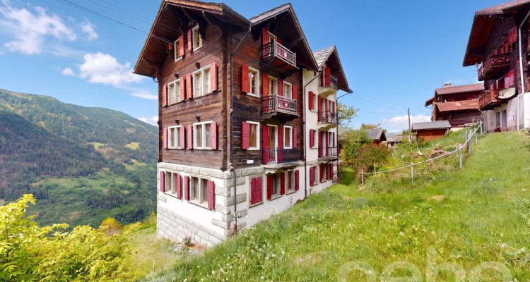 Superbe duplex traversant avec potentiel locatif image 1