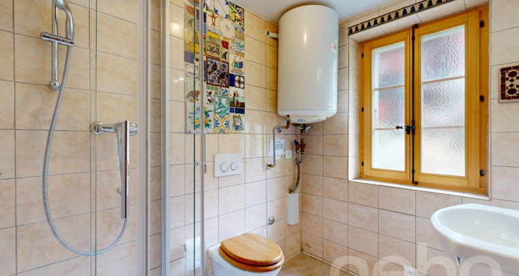 Superbe duplex traversant avec potentiel locatif image 9