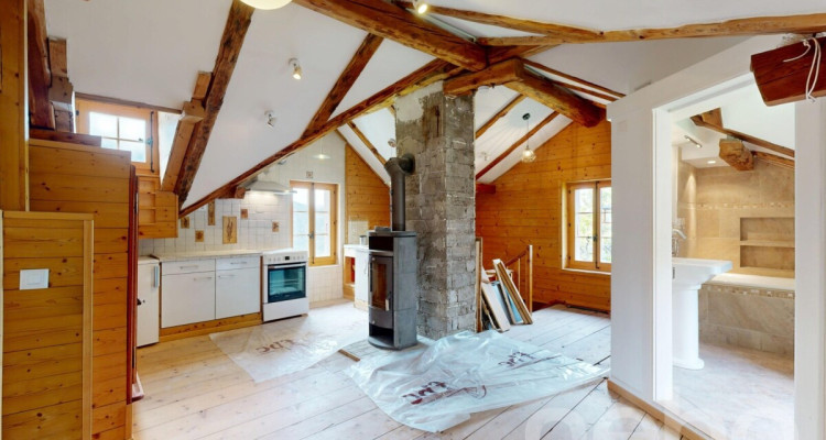 Superbe duplex traversant avec potentiel locatif image 12