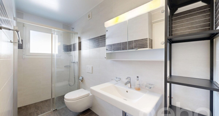 Appartement duplex comme une maison de 4.5 pièces avec jardin image 8