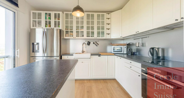Grand appartement de 182 m² dernier étage vue panoramique Annecy et lac avec très bon diagnostique énergétique image 6