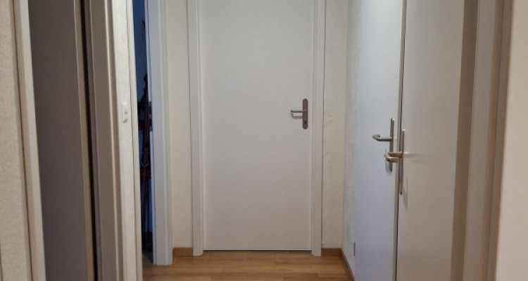 Magnifique 5 pièces sur la Rue de Carouge avec balcon image 5