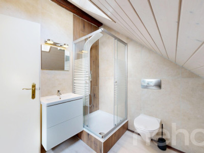 Grand duplex 3.5 pièces lumineux et bien agencé image 9