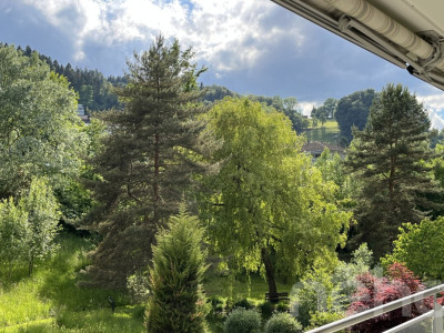 Helle 3.5-Zimmerwohnung mit Balkon und schönem Ausblick image 11
