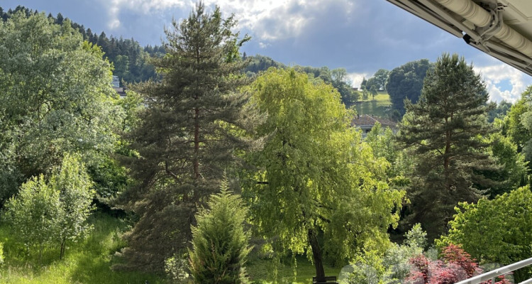 Helle 3.5-Zimmerwohnung mit Balkon und schönem Ausblick image 11