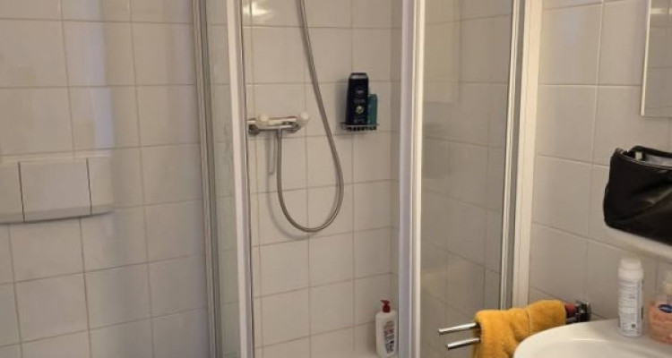 Superbe appartement 4 pièces à Vessy image 7