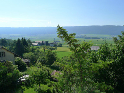APPARTEMENT AVEC TERRASSE ET PETIT JARDIN DHIVER image 1