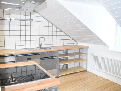 APPARTEMENT AVEC TERRASSE ET PETIT JARDIN DHIVER image 8