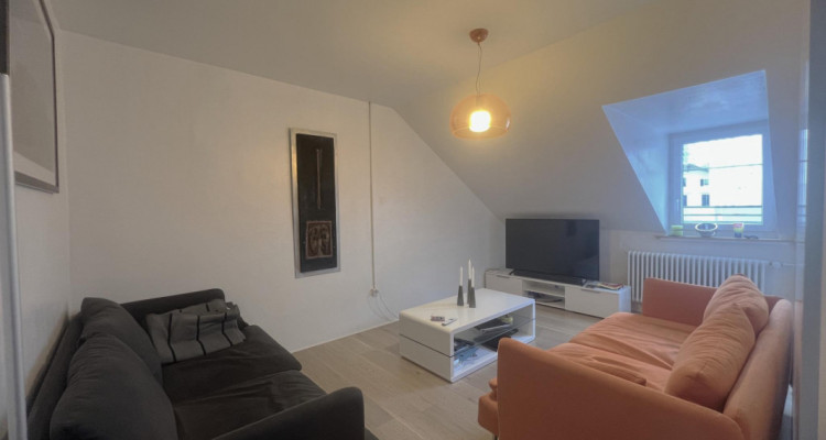 APPARTEMENT AVEC TERRASSE ET PETIT JARDIN DHIVER image 6