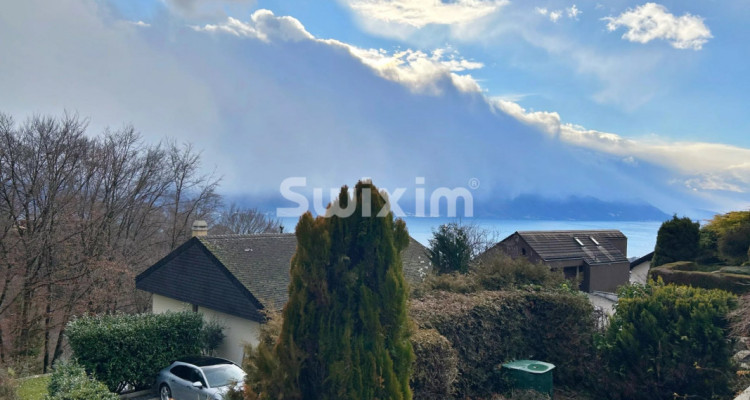 Rare ! Villa individuelle avec vue sur le Lac ! image 1