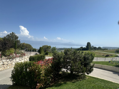 Situation rare et unique sur le marché immobilier de la région. image 3