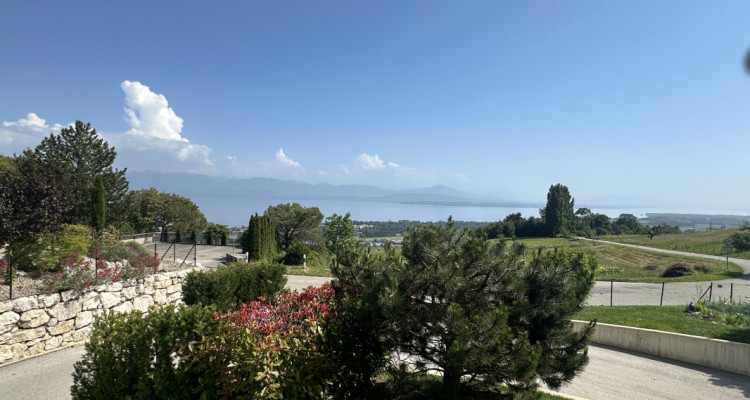 Situation rare et unique sur le marché immobilier de la région. image 3
