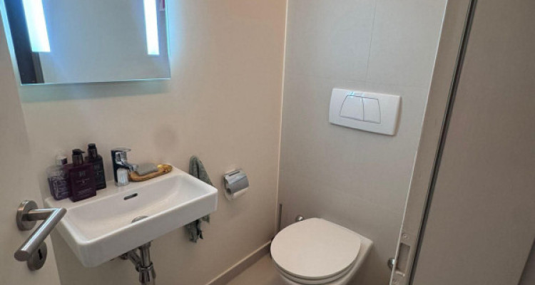 Superbe appartement rénové de 4 pièces à Veyrier image 7