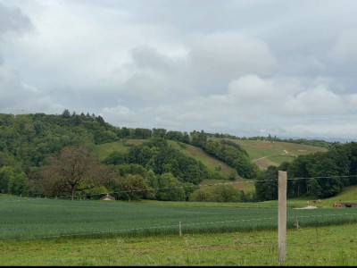 A vendre: Aubonne – Parcelle exceptionnelle de 2600 m² en lisière de forêt image 1