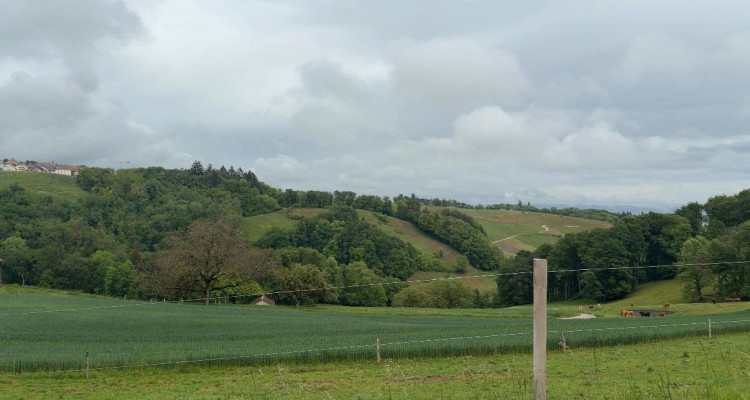 A vendre: Aubonne – Parcelle exceptionnelle de 2600 m² en lisière de forêt image 1