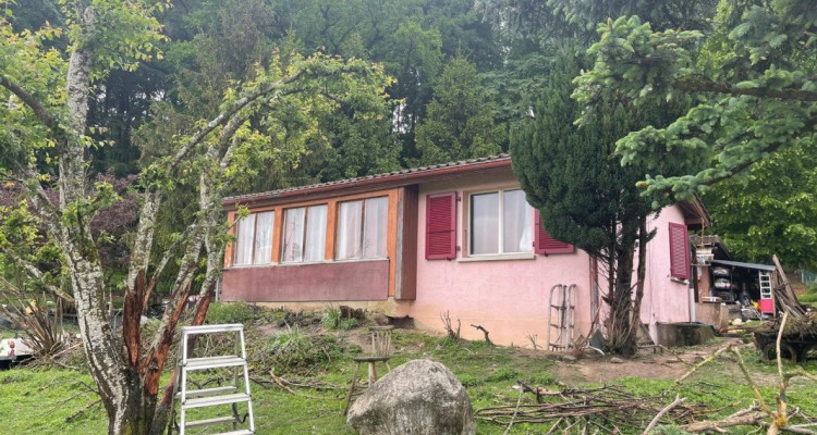 A vendre: Aubonne – Parcelle exceptionnelle de 2600 m² en lisière de forêt image 2