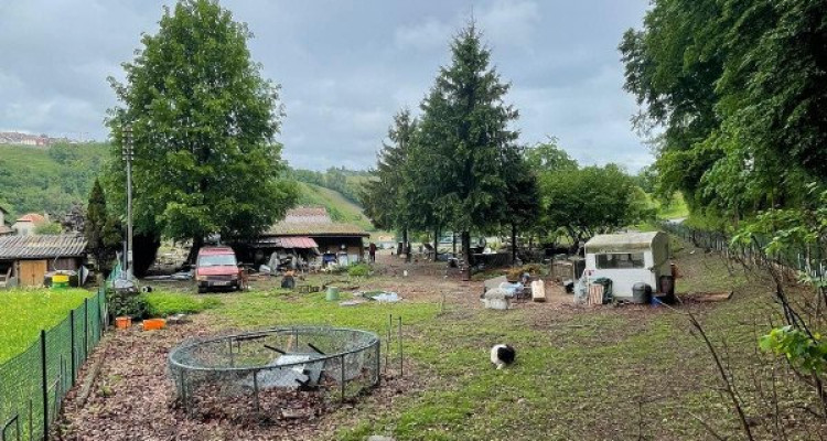 A vendre: Aubonne – Parcelle exceptionnelle de 2600 m² en lisière de forêt image 4