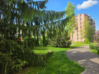 Appartement lumineux de 5,5 pièces avec ascenseur et garage image 10