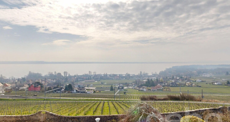 Magnifique Villa avec vue sur le lac image 1