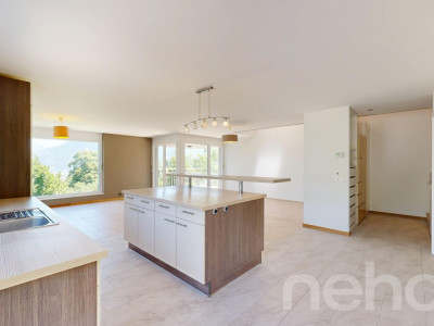 Exclusif: Villa Minergie de deux logements image 4