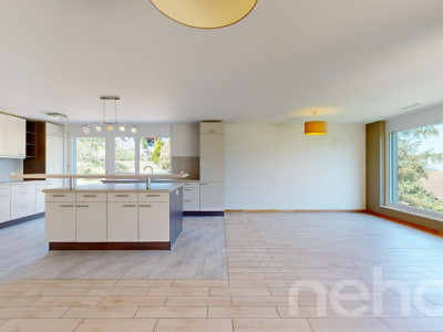 Exclusif: Villa Minergie de deux logements image 5