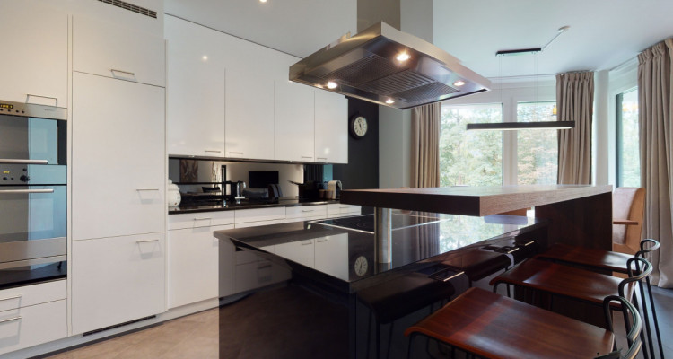 Gemütliche Eigentumswohnung im modernen Grüt-Park Adliswil mit Balkon image 5