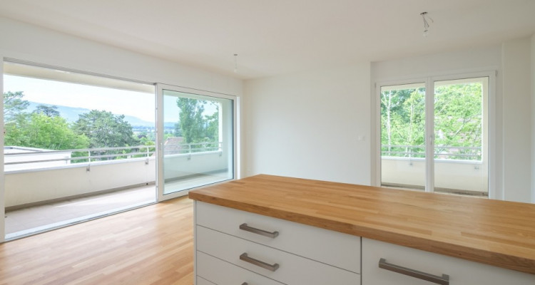 Superbe attique 4 pièces à Lancy  image 2