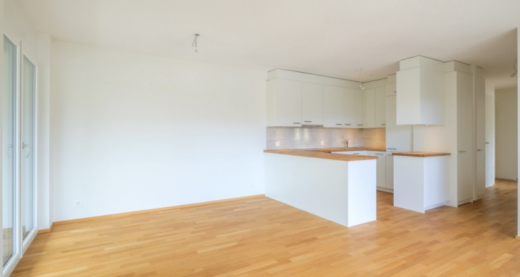 Superbe attique 4 pièces à Lancy  image 3