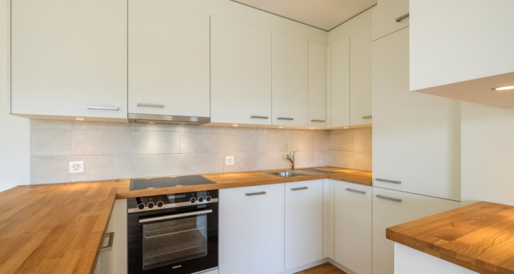 Superbe attique 4 pièces à Lancy  image 4