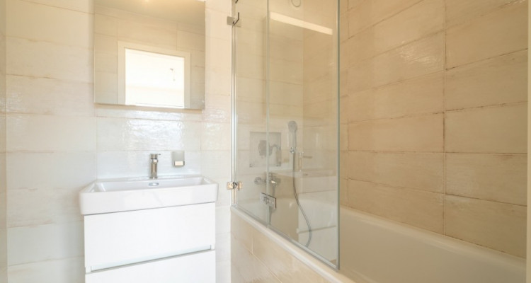 Superbe attique 4 pièces à Lancy  image 5