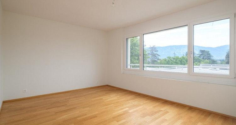 Superbe attique 4 pièces à Lancy  image 6