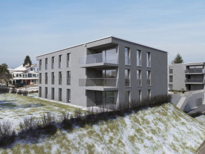 A vendre appartement de 2,5 ces avec jardin sur la Commune de Misery image 3