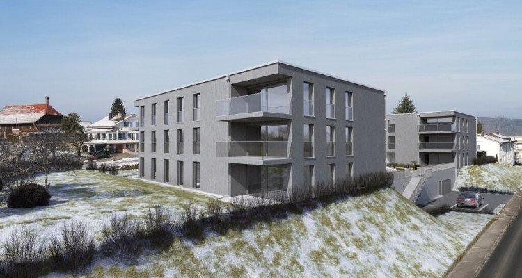 A vendre appartement de 2,5 ces avec jardin sur la Commune de Misery image 3