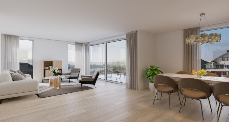 A vendre appartement de 2,5 ces avec jardin sur la Commune de Misery image 7