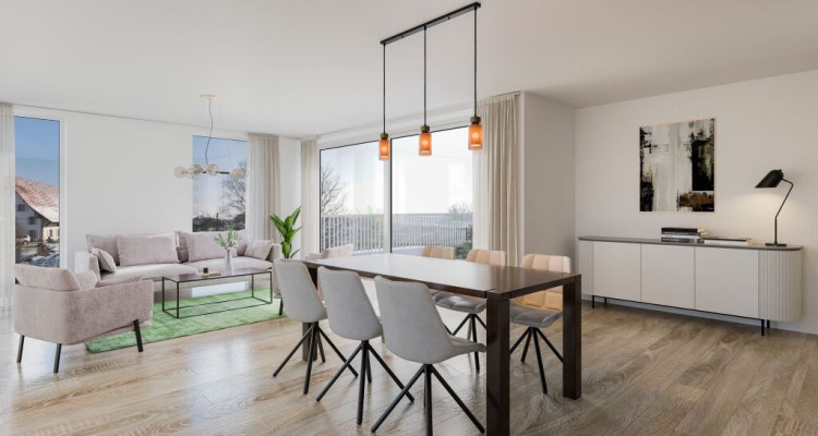 A vendre appartement de 2,5 ces avec jardin sur la Commune de Misery image 8