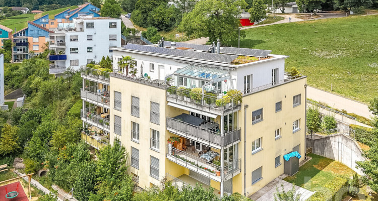 Exklusive 5.5-Zimmer-Attikawohnung mit direktem Liftzugang image 12
