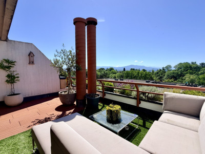 Un air de vacances entre ciel et lac : superbe triplex avec terrasse panoramique image 3