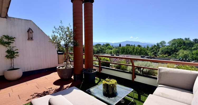 Un air de vacances entre ciel et lac : superbe triplex avec terrasse panoramique image 3