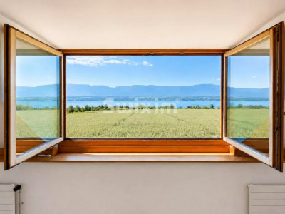 In Anières, a 6.5-room house in an expertly renovated former dairy image 1