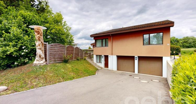 Grosszügiges 7½ Zimmer EFH mit Pool an bevorzugter Wohnlage image 12